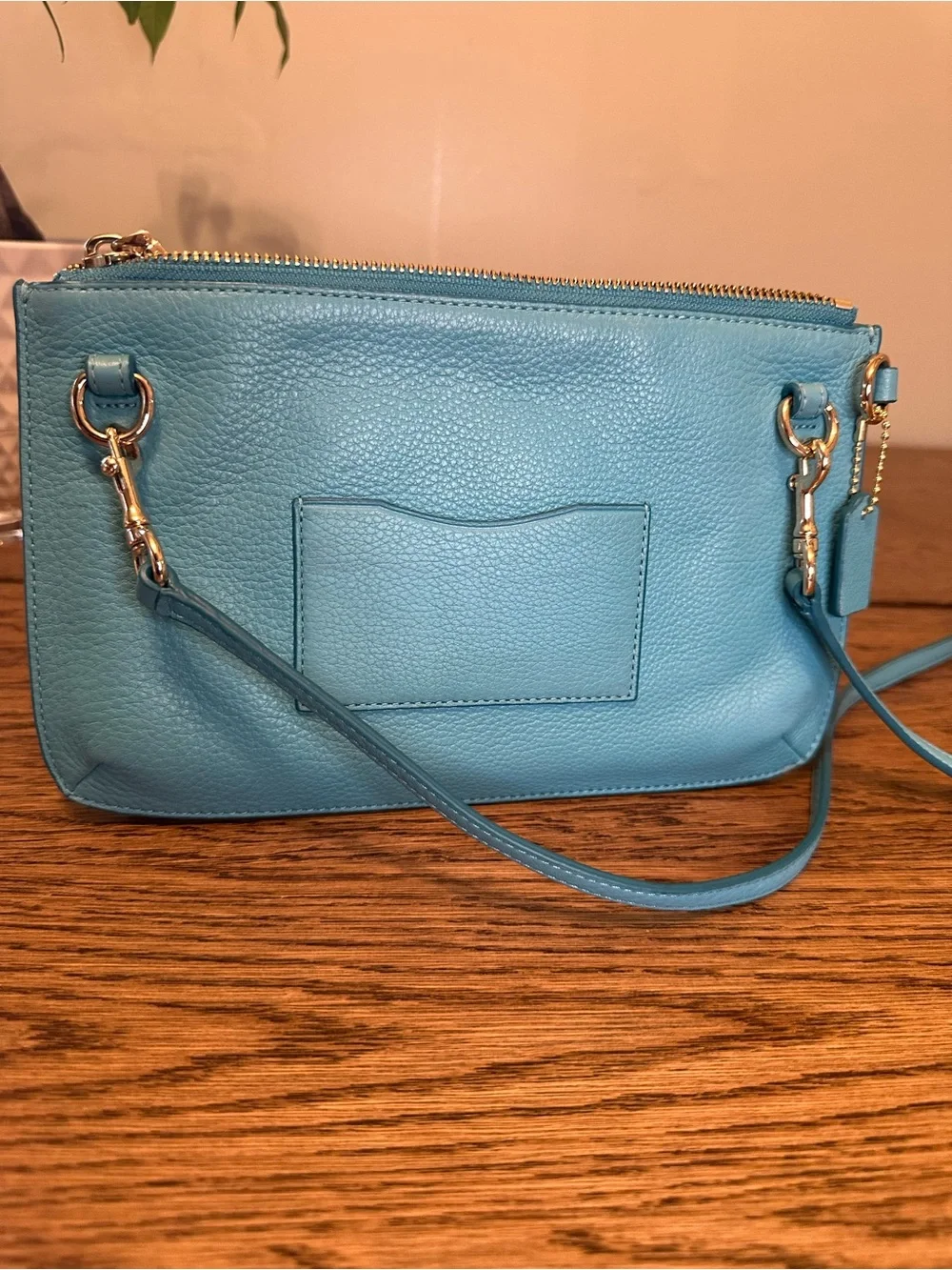 Coach Lyla Teal Pebbled Leather Double Zip Crossbody Purse